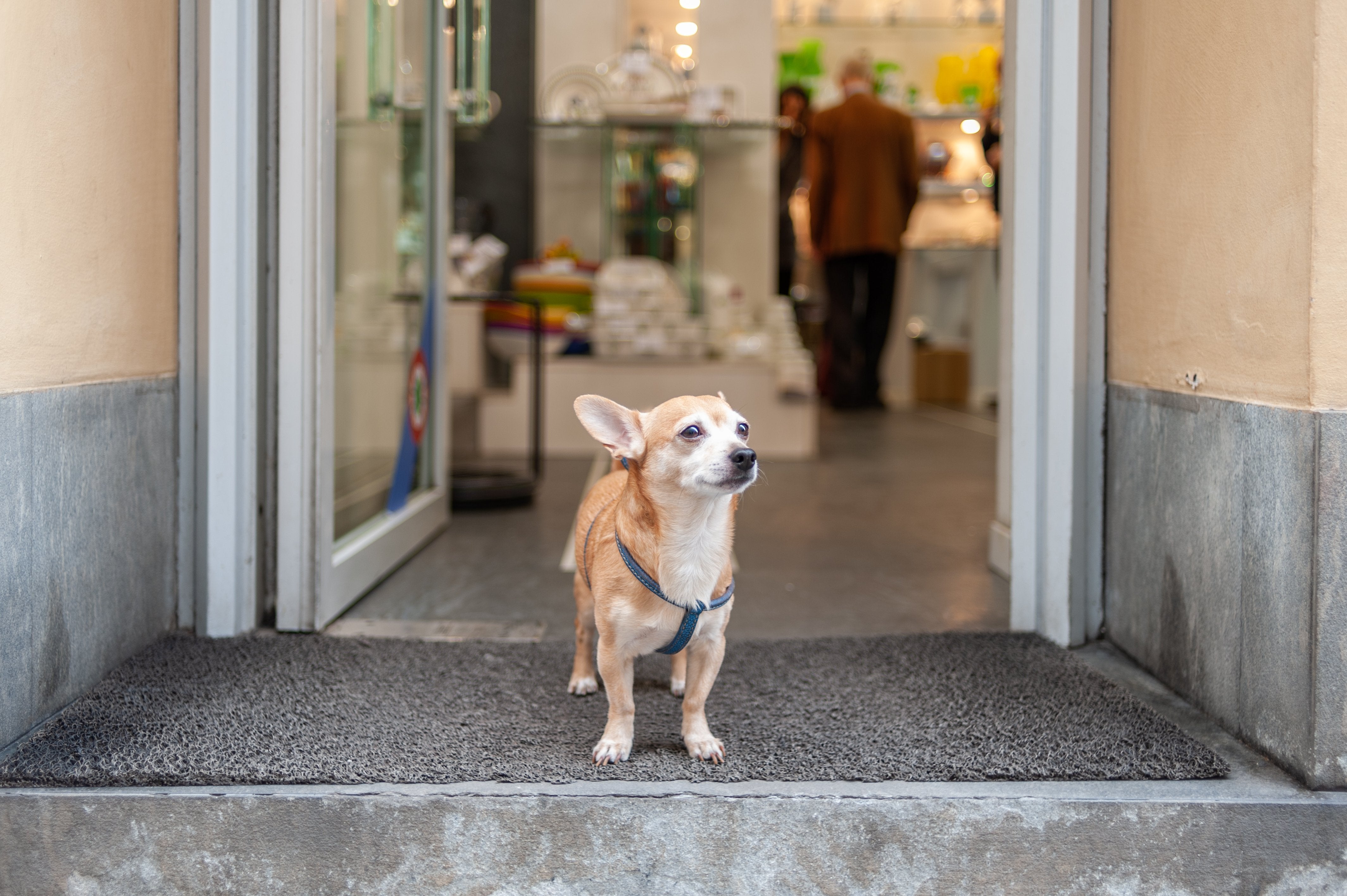 Health Beauty & Pet