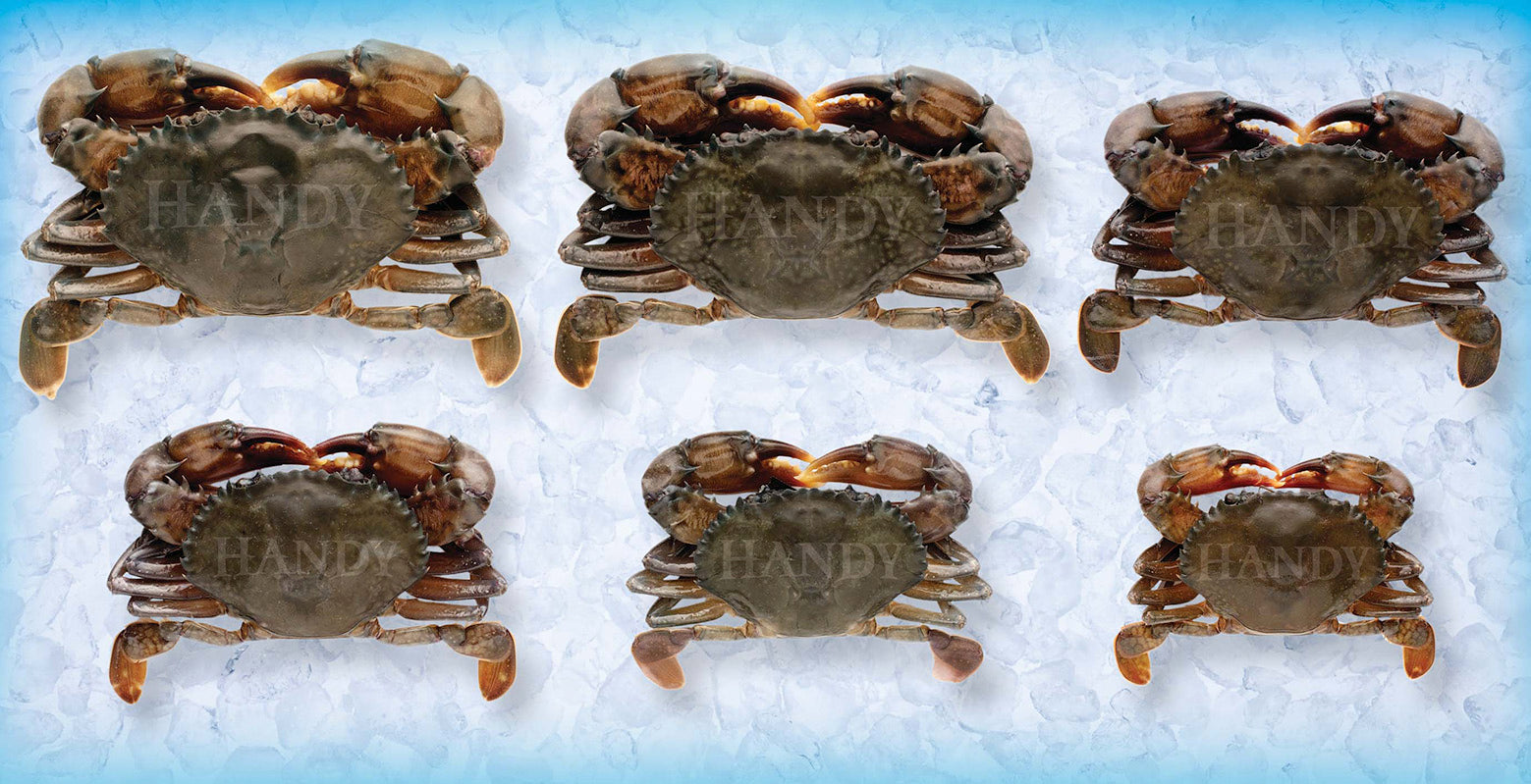 Frozen Hotel Soft Shell Crabs Imported Crabs Per Case 18 Each - 4 Per Case