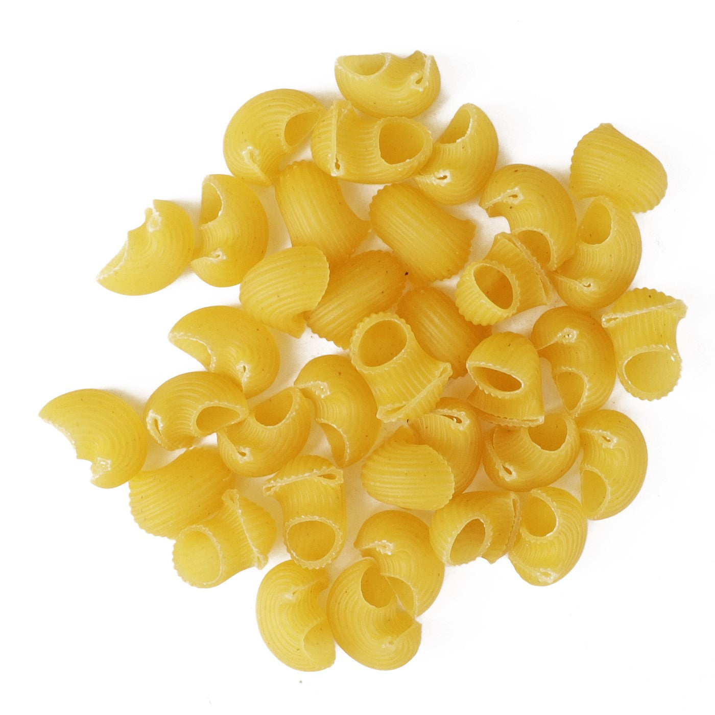 Pipette Barilla USA 16 Ounce Size - 12 Per Case.