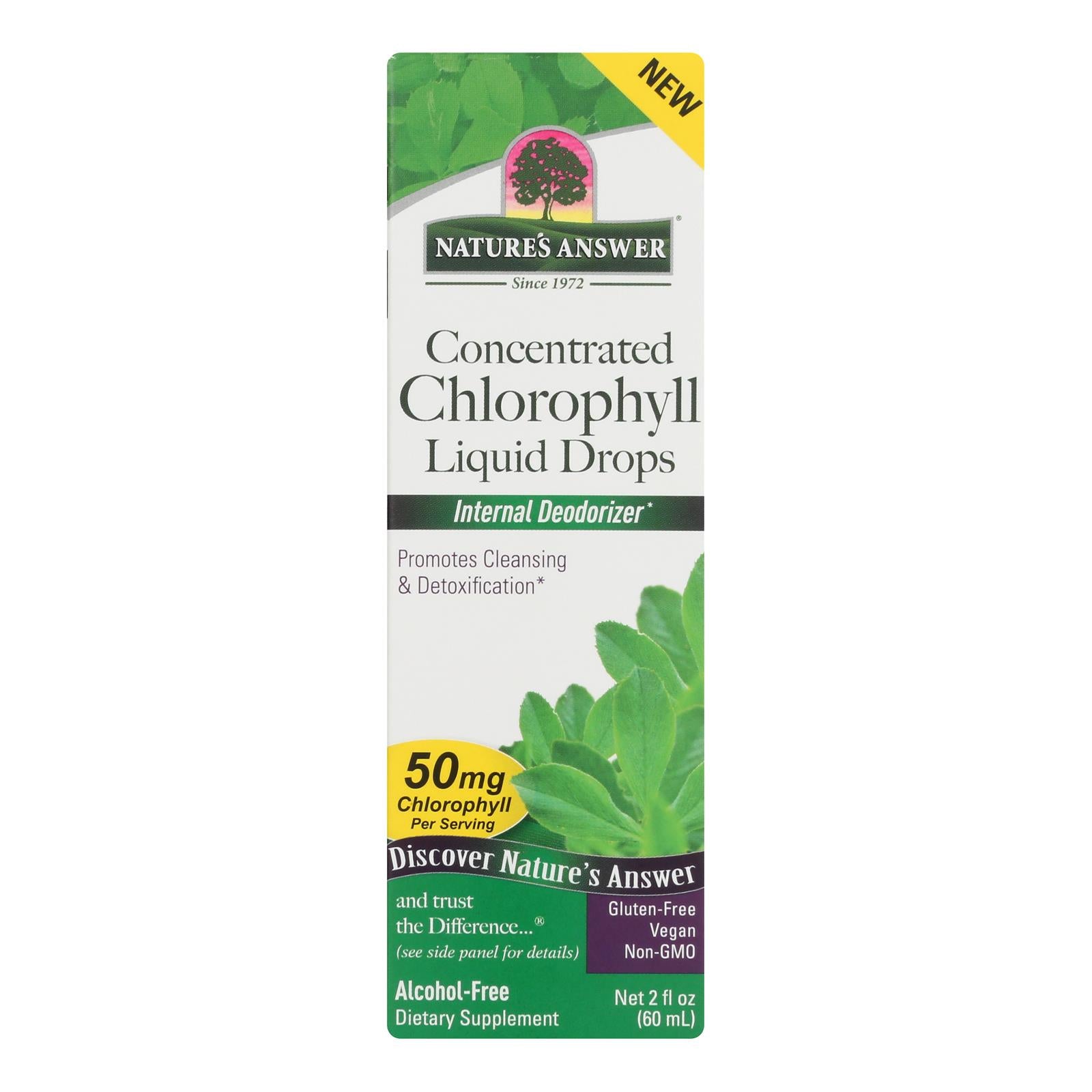 Nature's Answer - Conc Drop Chlrphyl Liquid - 1 Each-2 Fluid Ounce