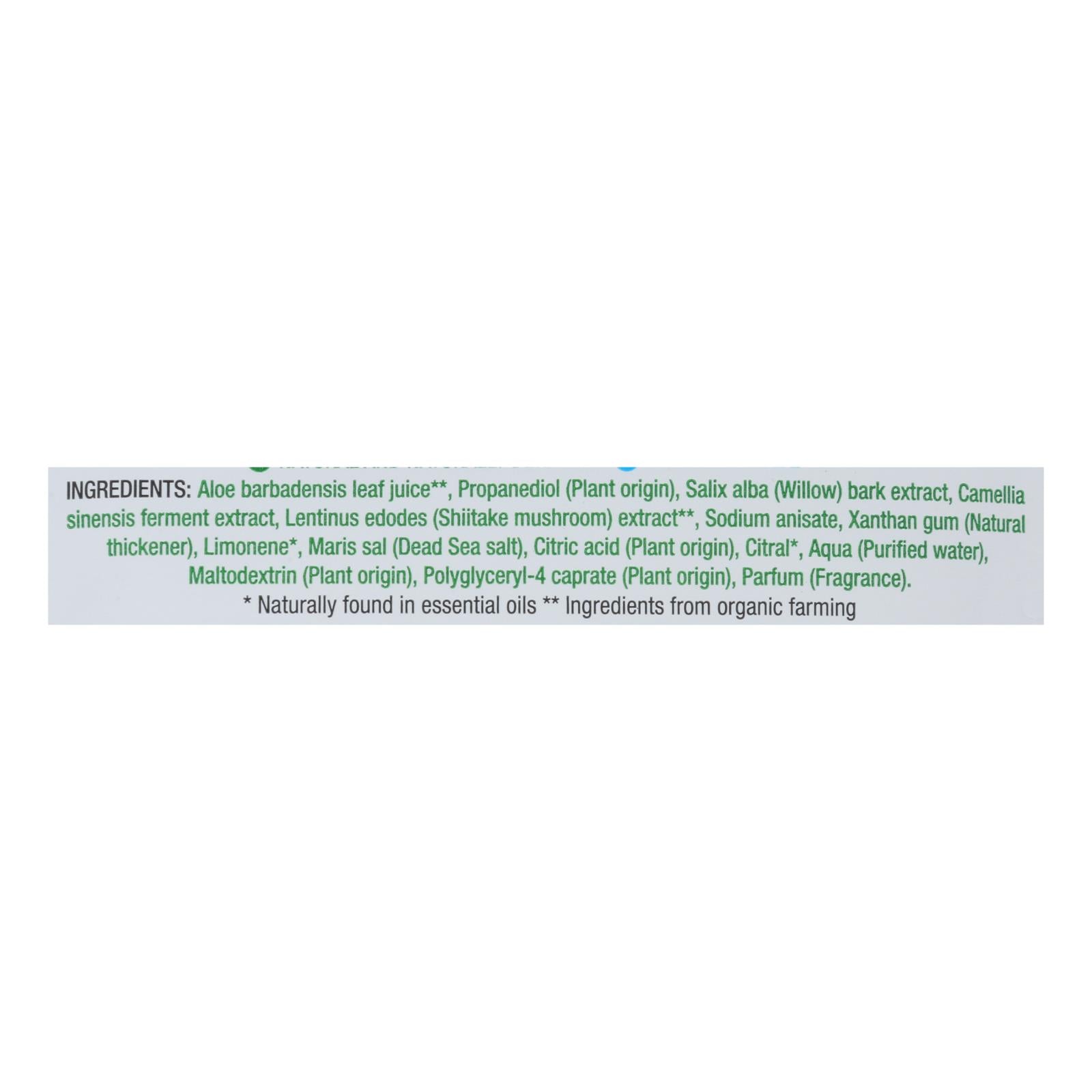 Earth Kiss - Sheet Msk Shtk Prfyng - Case of 12-1 Count
