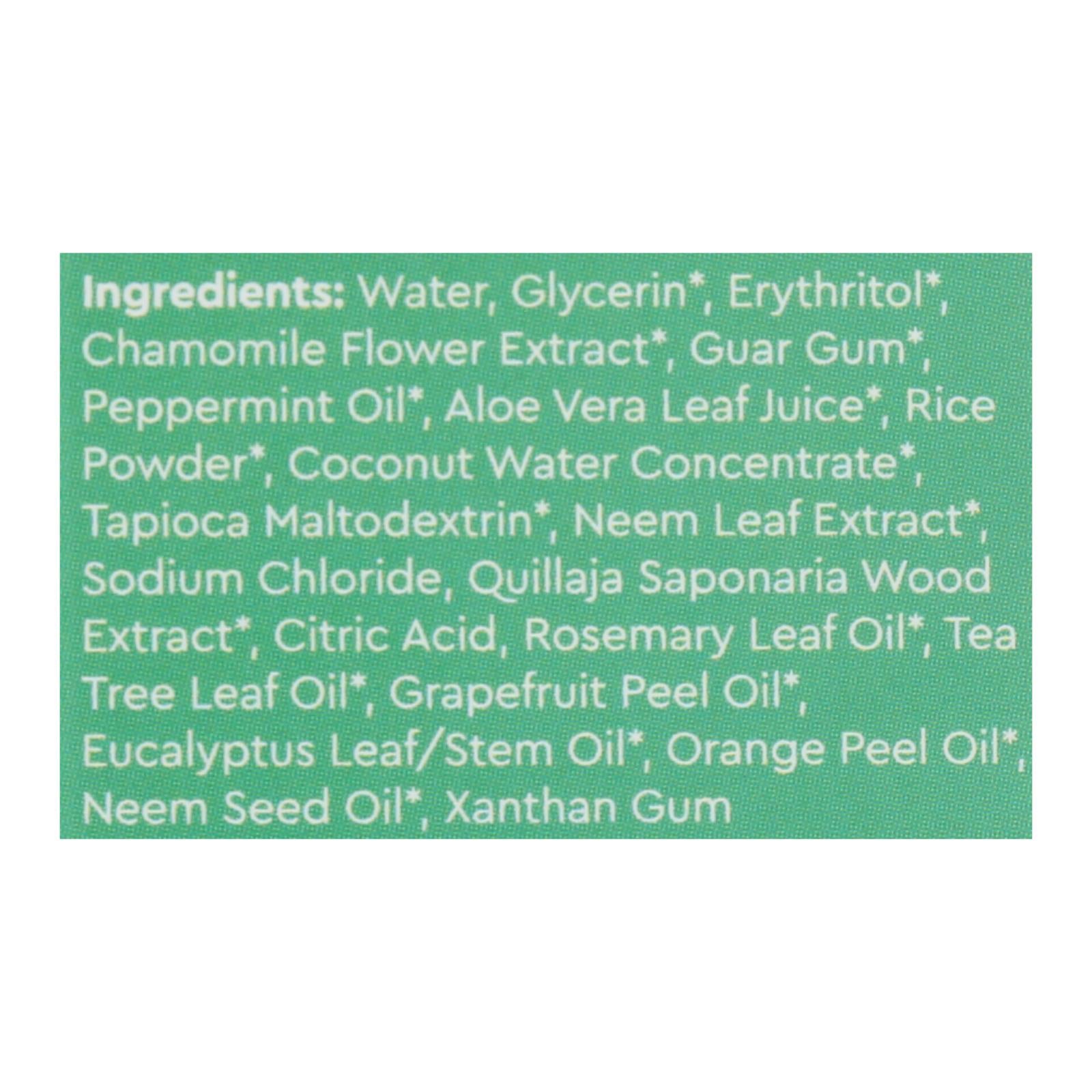 Radius Whitening Mint Aloe Neem Toothpaste - 1 Each - 3 Ounce