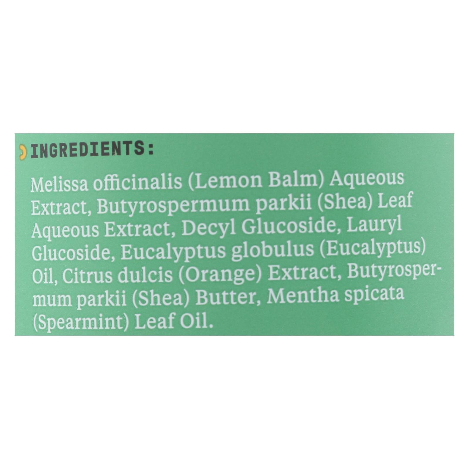 Alaffia Everyday Shea Cold Comforting Eucalyptus Babies Up Bubble Bath - 1 Each - 32 Fluid Ounce