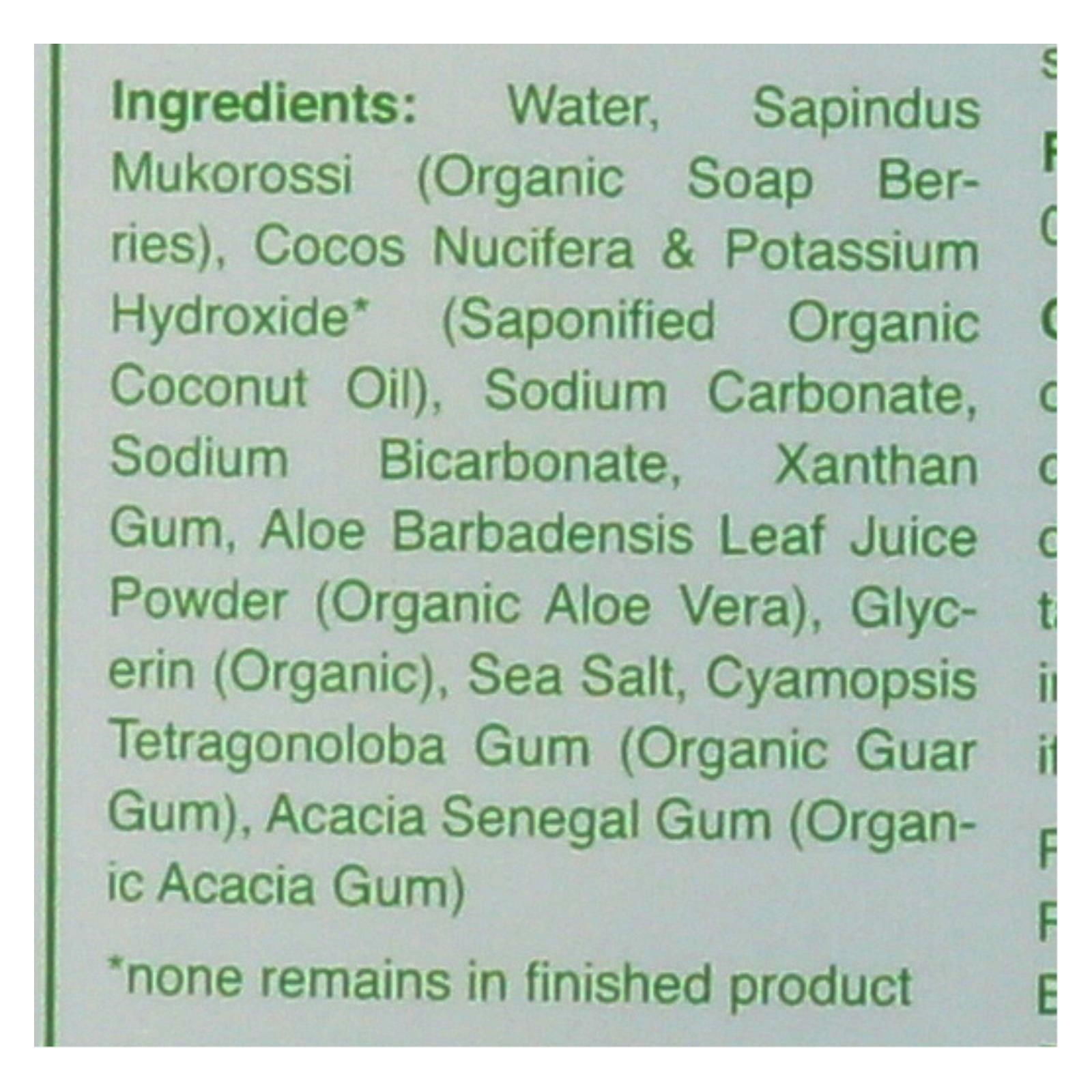 Rebel Green Laundry Detergent - Organic - Unscented - Case of 4 - 64 fl Ounce