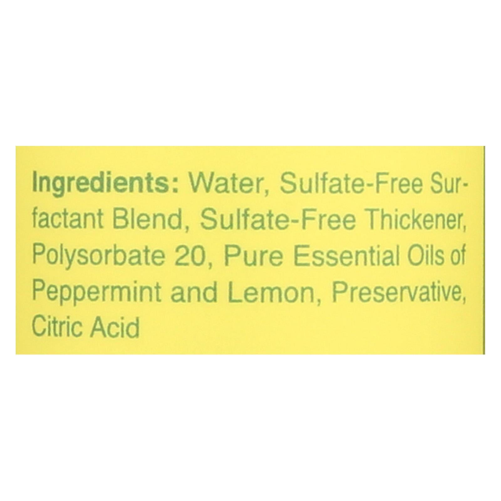 Rebel Green Dish Soap - Peppermint and Lemon - Deluxe - Case of 4 - 16 fl Ounce