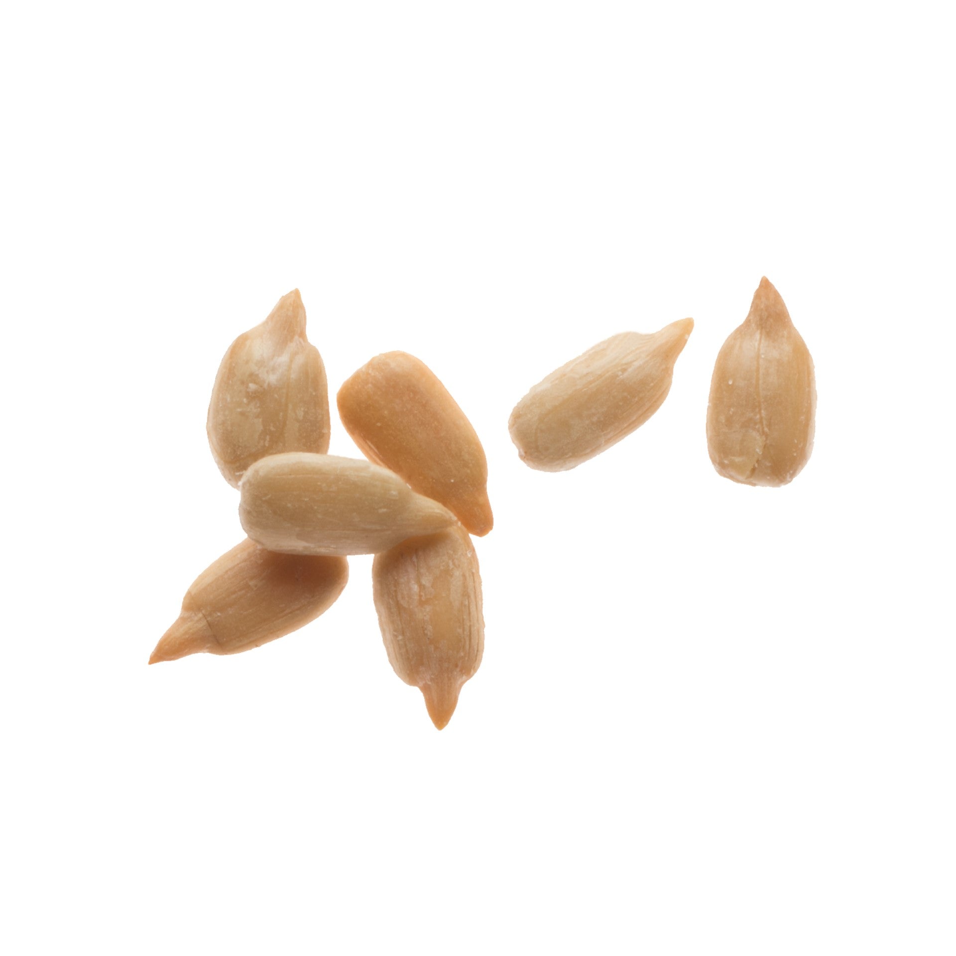 Fisher Roasted Sunflower Kernels No Salt 32 Ounce Size - 3 Per Case.