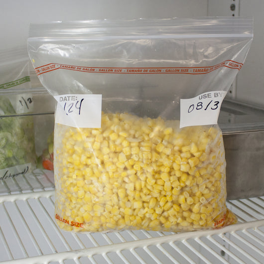 Zipgard Freezer Bag ZG-128 Gallon Size 2.7 Mil Low Density Clear Resealable Dispenser Pack 200 Each - 1 Per Case.