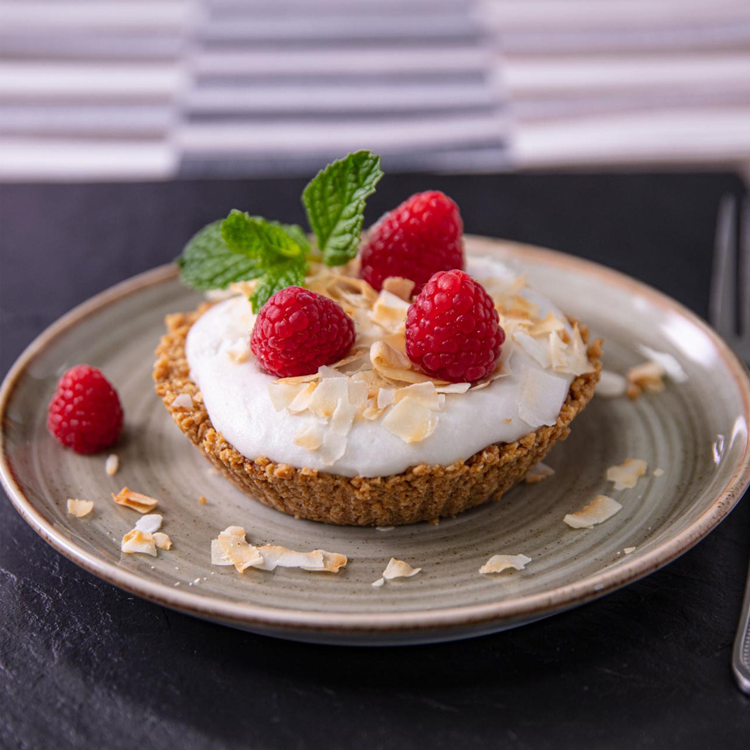 Yoplait Parfaitpro Dairy Free Bulk Vanilla Coconut Based Yogurt Alternative 48 Ounce Size - 4 Per Case.