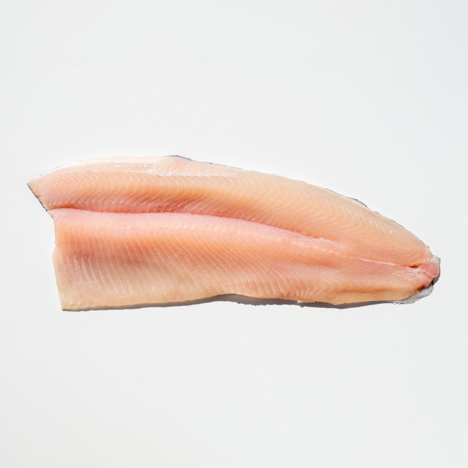 Trout Frozen Clear Cut Fillet 5 Pound Each - 1 Per Case.