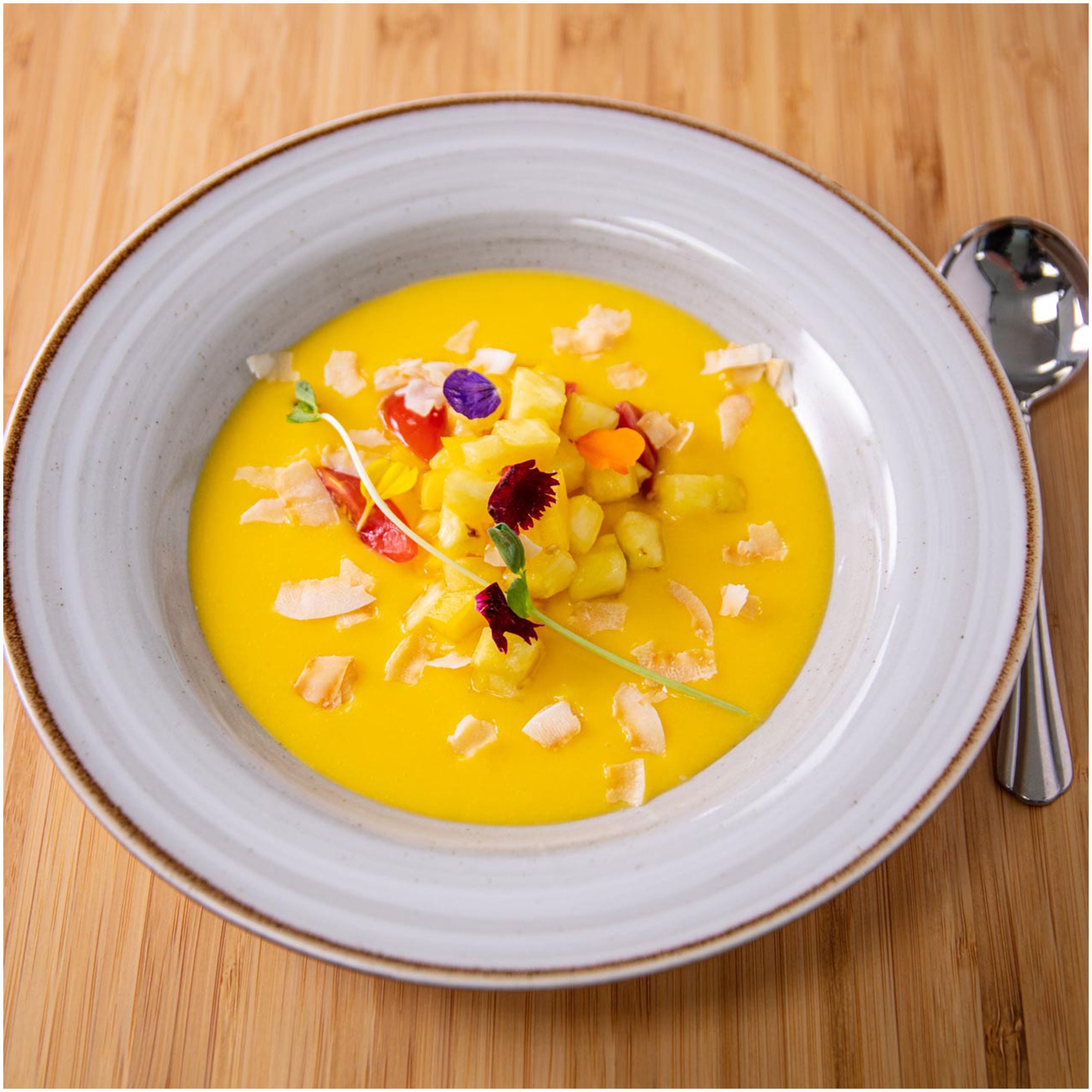 Yoplait Parfaitpro Dairy Free Bulk Vanilla Coconut Based Yogurt Alternative 48 Ounce Size - 4 Per Case.