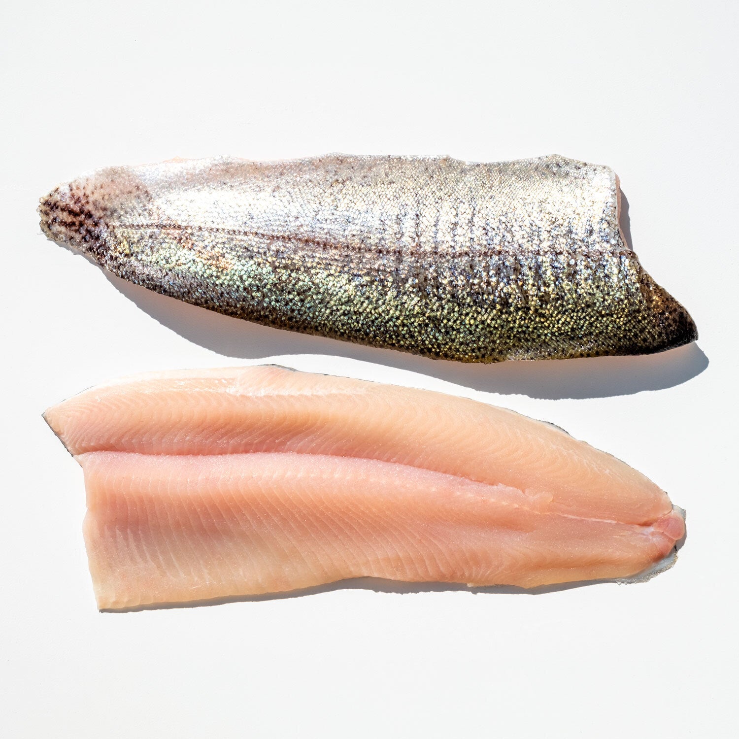 Trout Frozen Pinbone Out Portions 20 Pound Each - 1 Per Case.