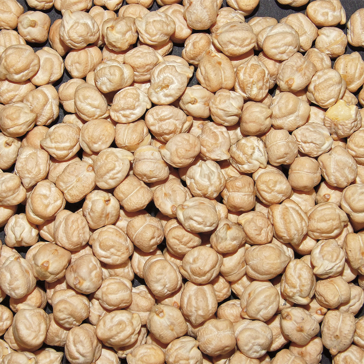 Jack Rabbit Garbanzo Beans 50 Pound Each - 1 Per Case.