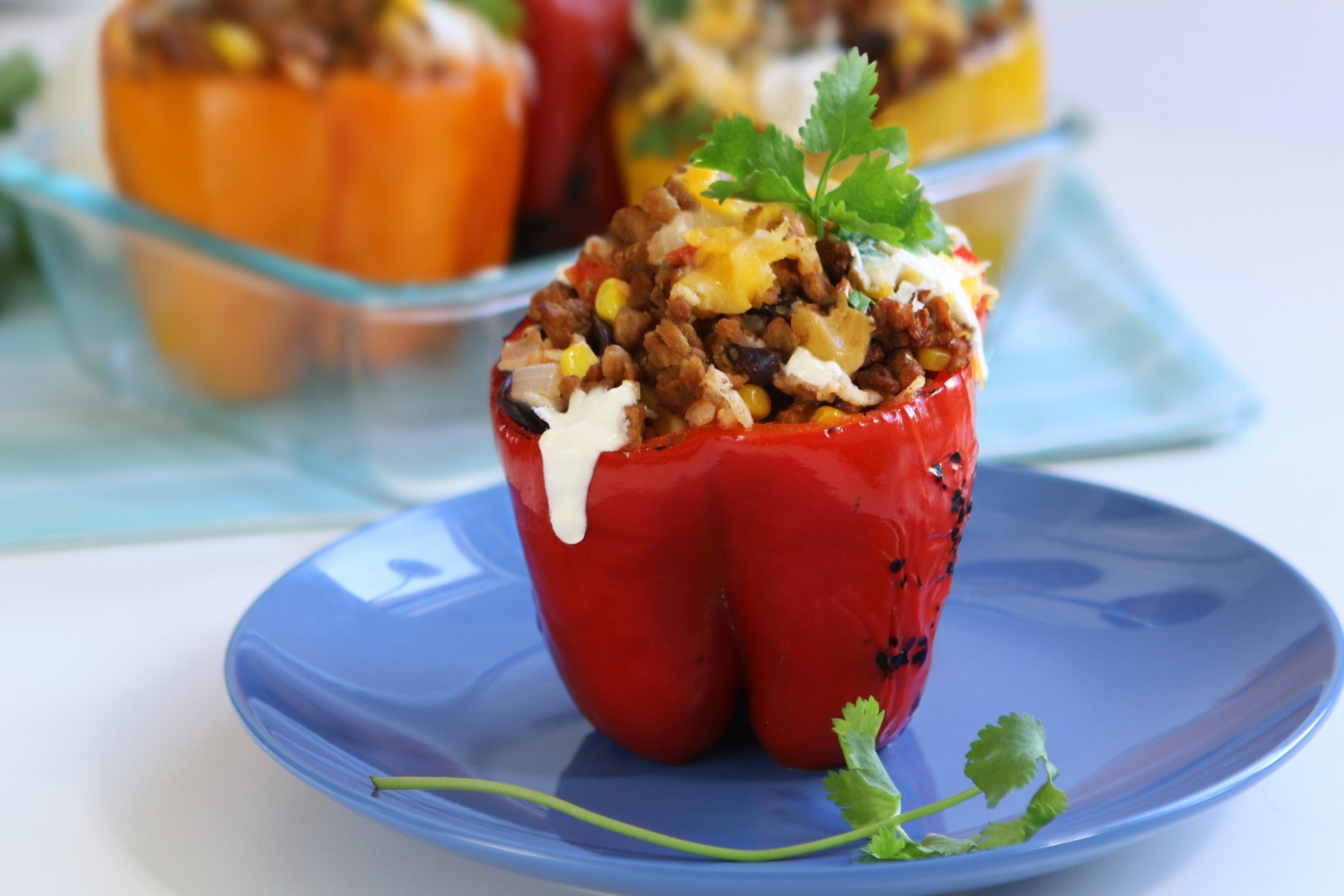 Uncut Plant Based Burger Bulk Ground Uncooked 2.5 Pound Each - 4 Per Case.