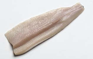 Trout Frozen Clear Cut Fillet 5 Pound Each - 1 Per Case.