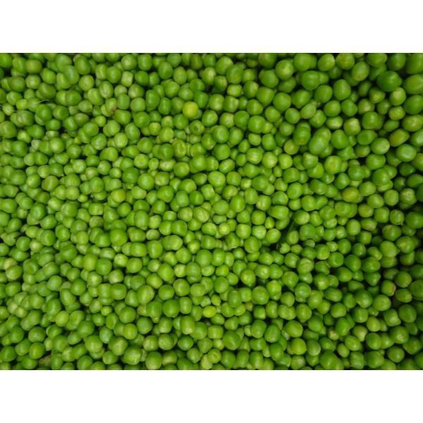 Commodity Peas Fancy Sieve Sweet Can 10 Cans - 6 Per Case.