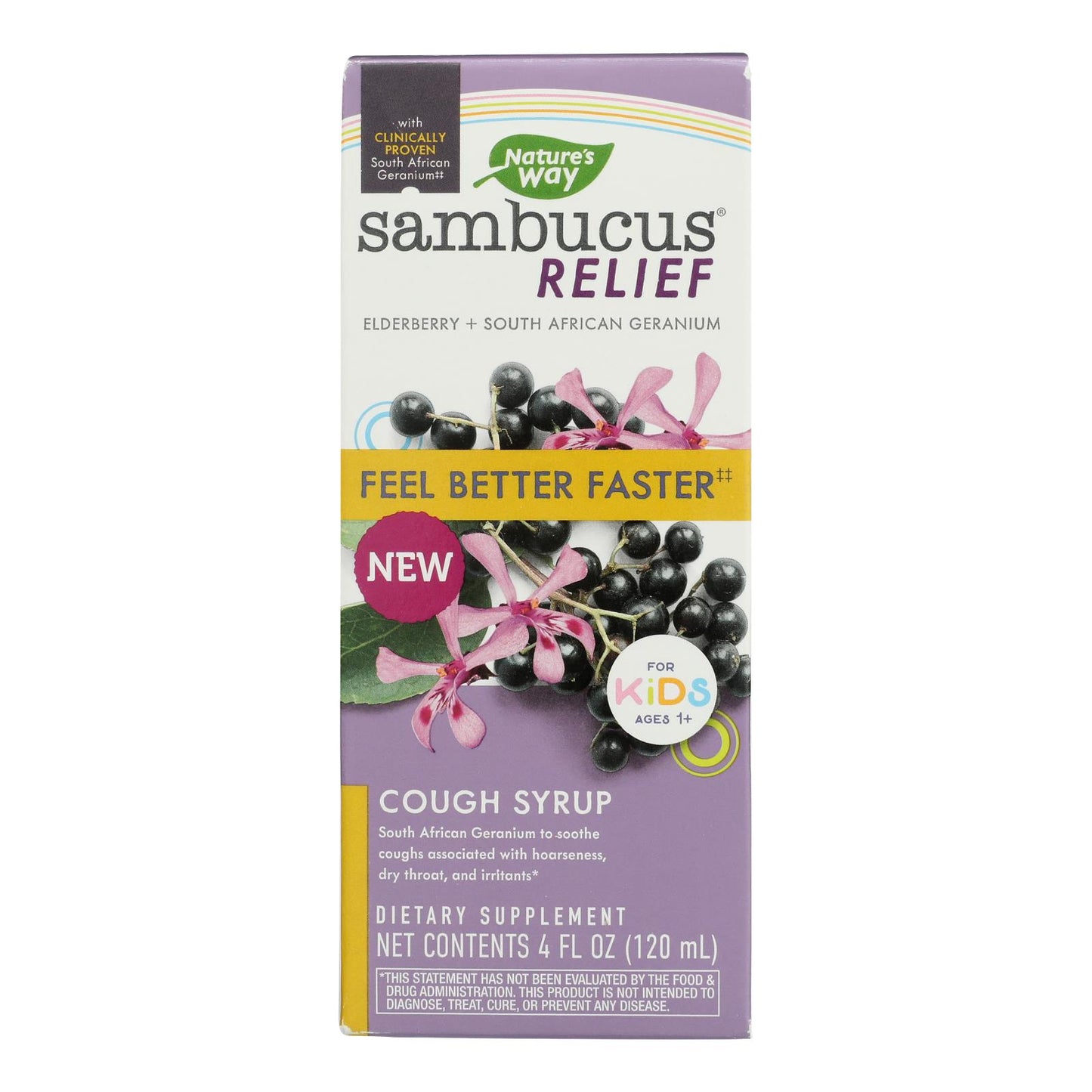 Nature's Way - Sambucus Kids Syrup - 1 Each-4 Fluid Ounce