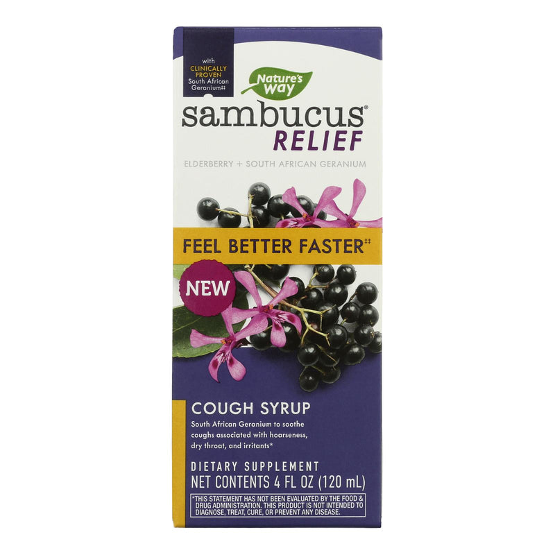 Nature's Way - Sambucus Adult Syrup - 1 Each-4 Fluid Ounce