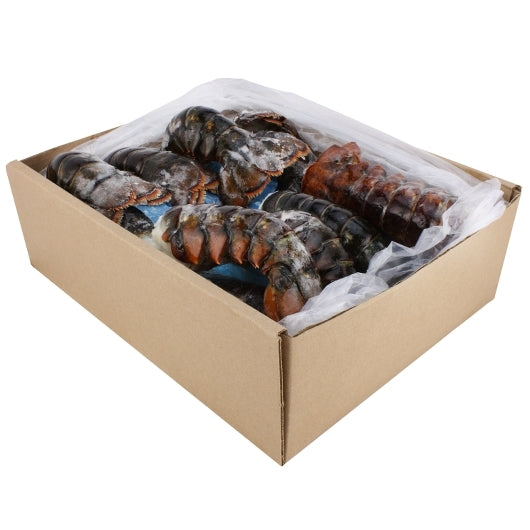 Seamazz 8 To 10 Ounce Canadian Lobster Tail, 10 Pound Case