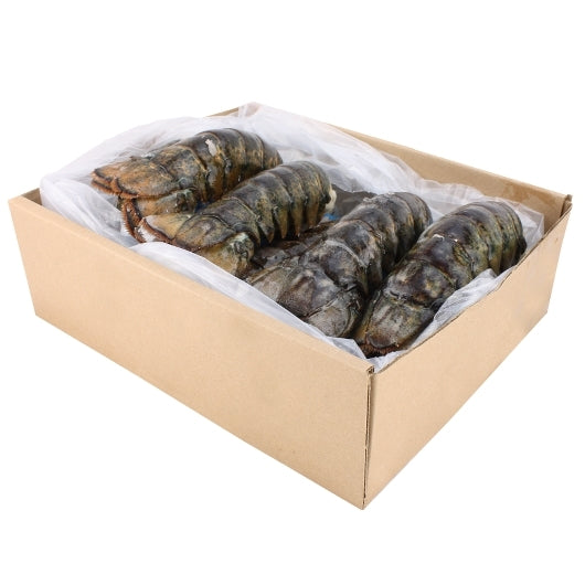 Seamazz 10 To 12 Ounce Canadian Lobster Tail, 10 Pound Case