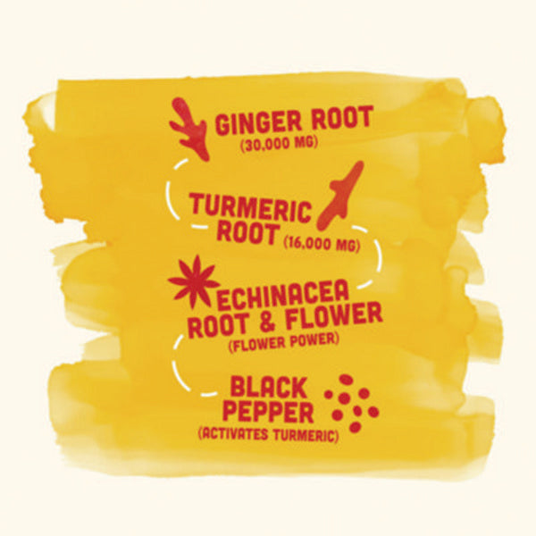 Immunity Boost, Ginger, 2 oz Bottle,12/Carton