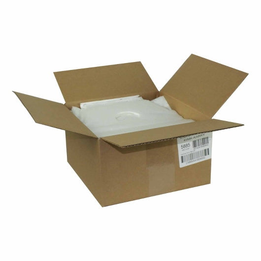 Revolution Consumer Solutions Pak-sher 11.5 Inch X 10.5 Inch X 4 Inch Color Tab White with Handle Bag 1 - 1000 Each - 1 Per Case