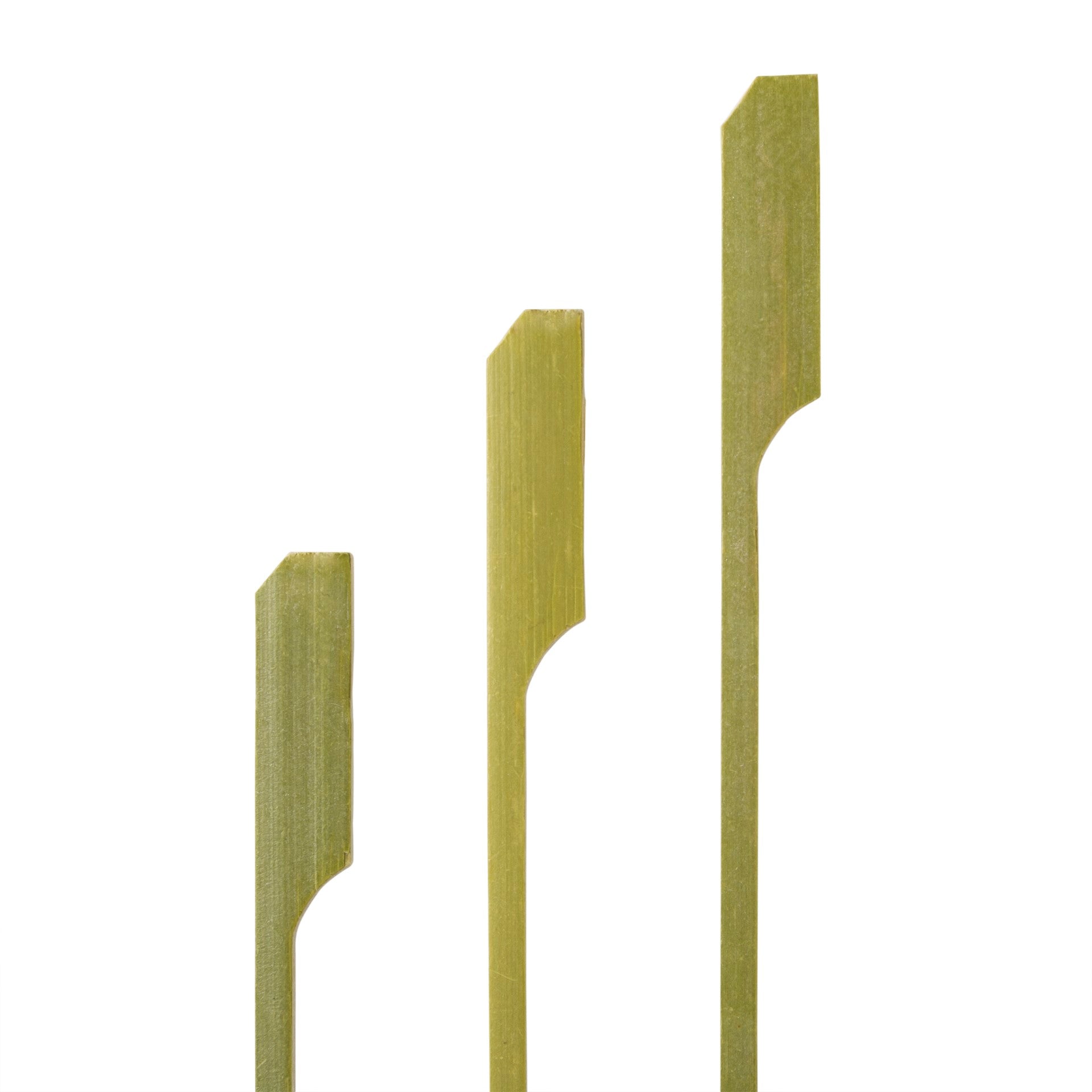 6" Bamboo Paddle Pick Pkd 10/100