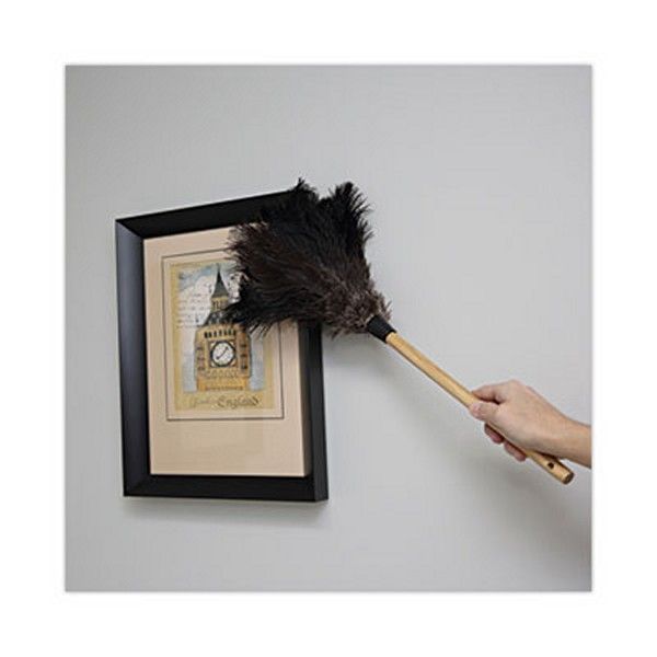 Boardwalk® Professional Ostrich Feather Duster, 10" Handle