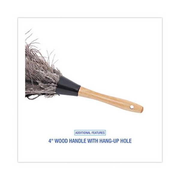 Boardwalk® Professional Ostrich Feather Duster, 4" Handle