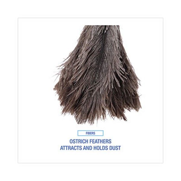 Boardwalk® Professional Ostrich Feather Duster, 4" Handle