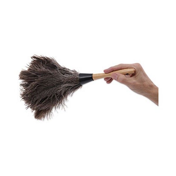 Boardwalk® Professional Ostrich Feather Duster, 4" Handle