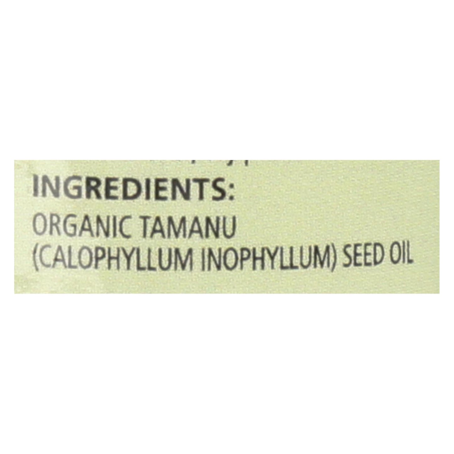 Aura Cacia - Natural Skin Care Oil Tamanu - 1 fl Ounce