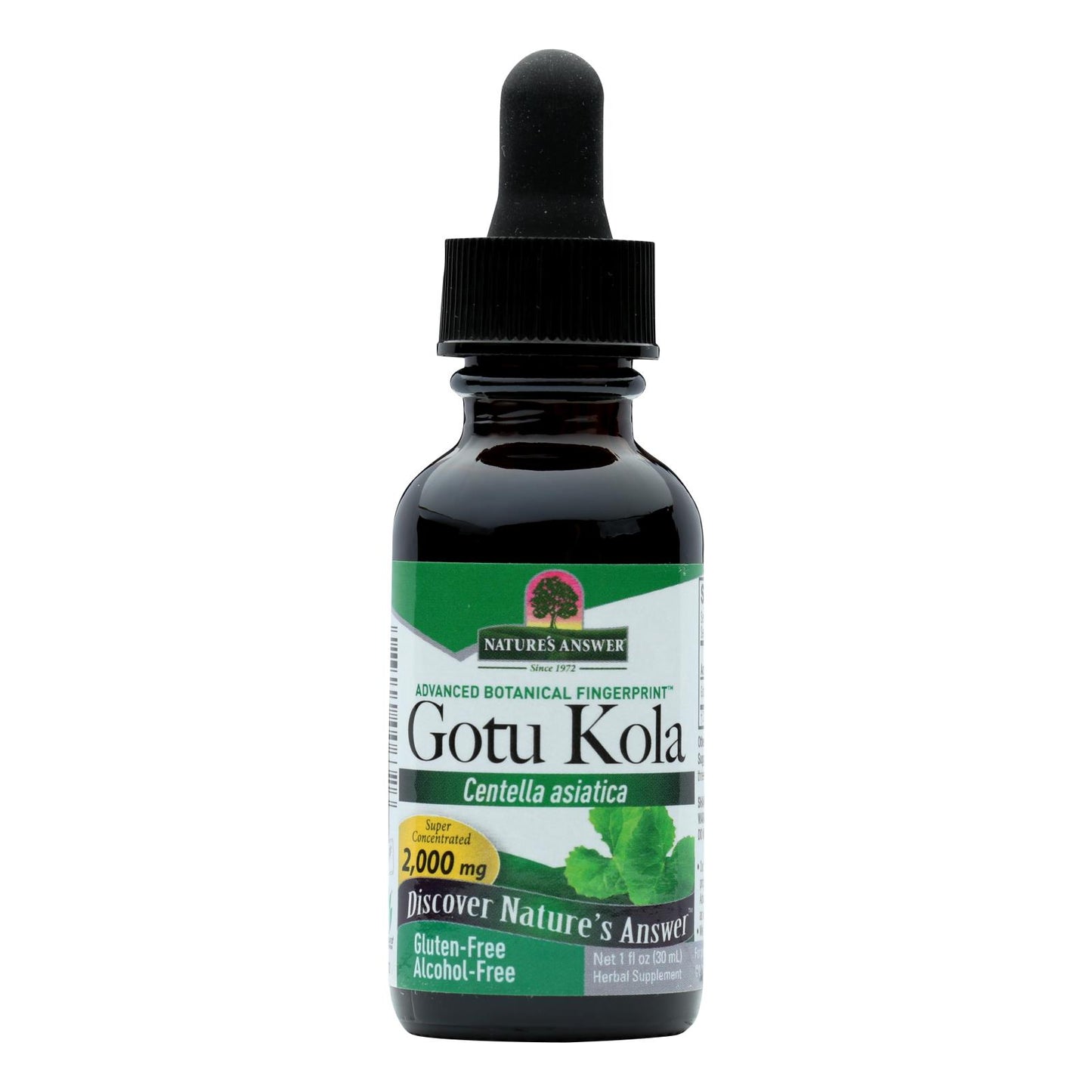 Nature's Answer - Gotu Kola Herb Alcohol Free - 1 fl Ounce