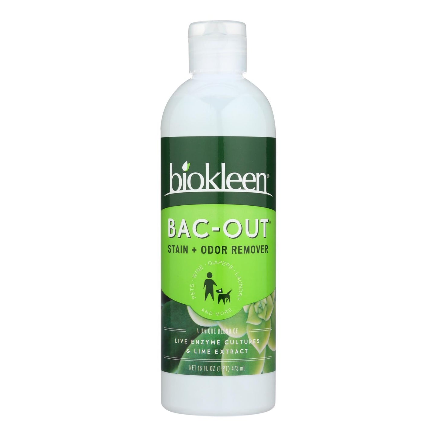 Biokleen - Stain+odor Rmvr Bac-out - Case of 6-16 Fluid Ounce