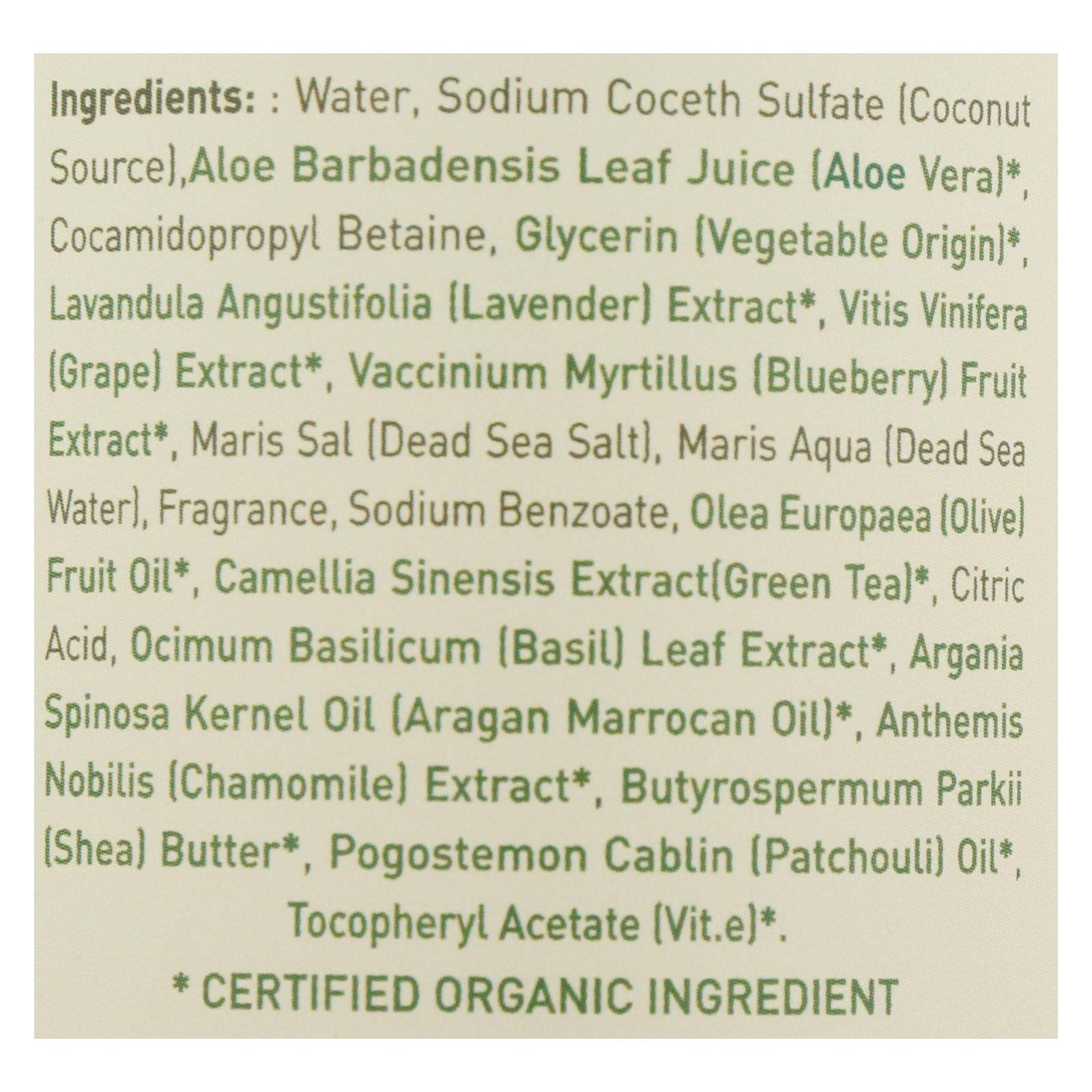 Ecolove - Shower Gel Purple Fruit - 1 Each - 17.6 Fluid Ounce