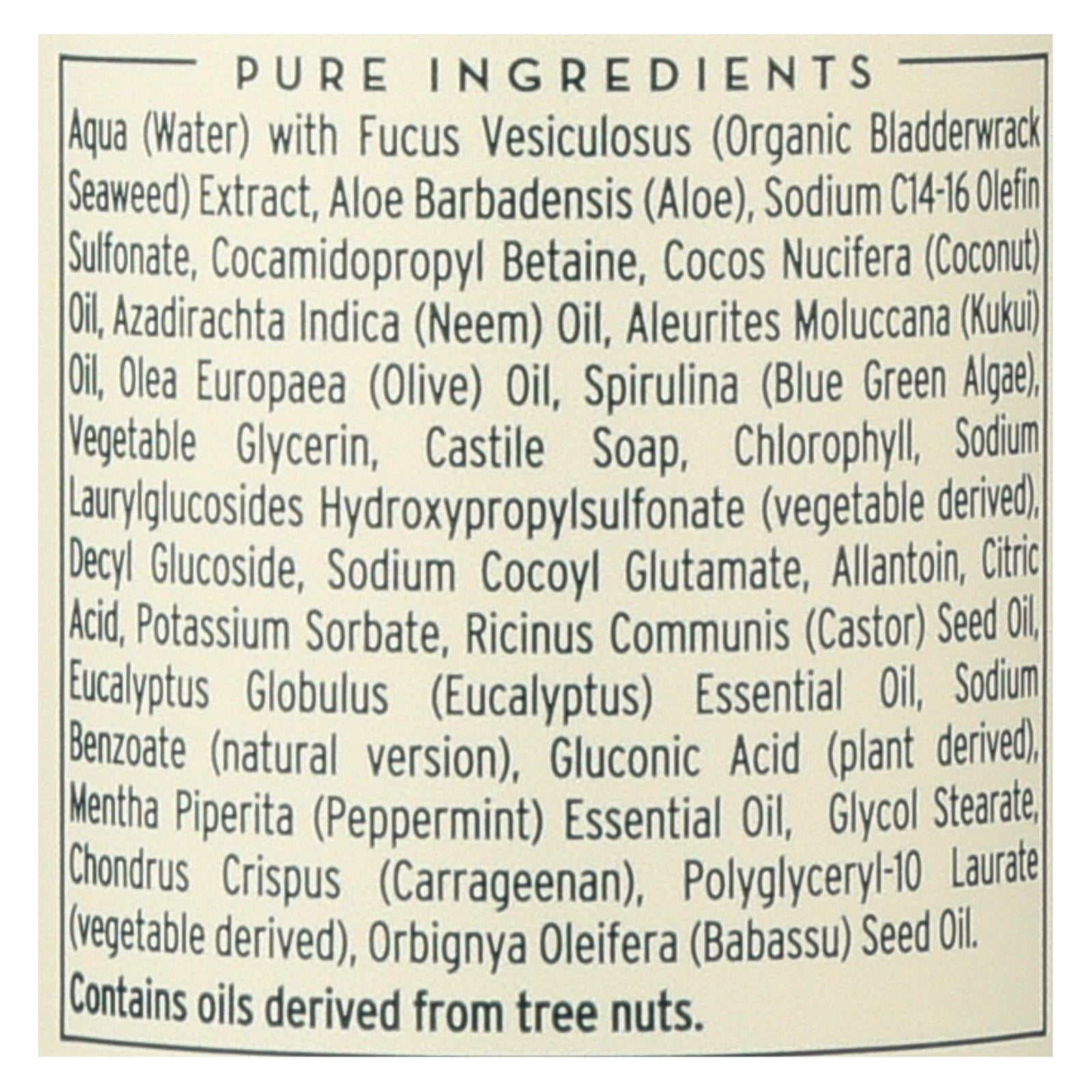 The Seaweed Bath Co Body Wash - Eucalyptus & Peppermint - 12 fl Ounce