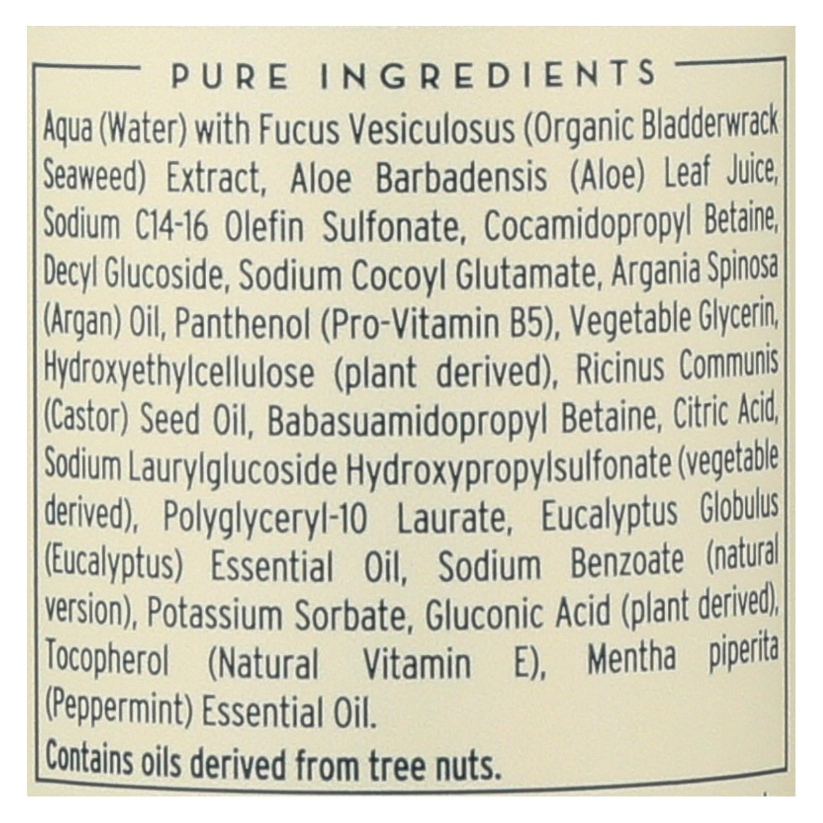 The Seaweed Bath Co Shampoo - Balancing - Eucalyptus - Pepper - 12 fl Ounce