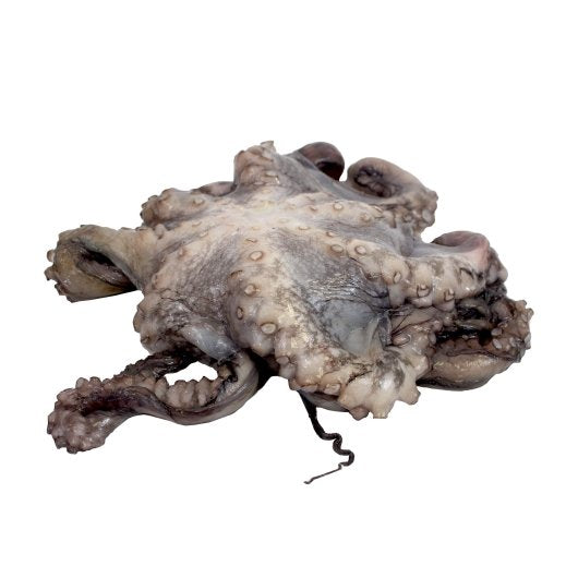 Frozen Seafood Commodity Octopus Whole 2-4 Individually Poly Wrapped 30 Pound Each - 1 Per Case.