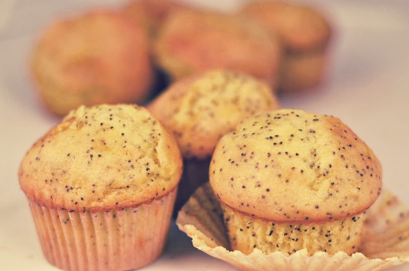 Batter Foxtail Lemon Poppyseed Muffin 18 Pound Each - 1 Per Case.