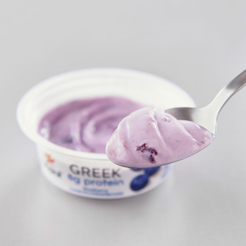 Yoplait® Greek Yogurt Single Serve Cup Blueberry 3.5 Ounce Size - 24 Per Case.