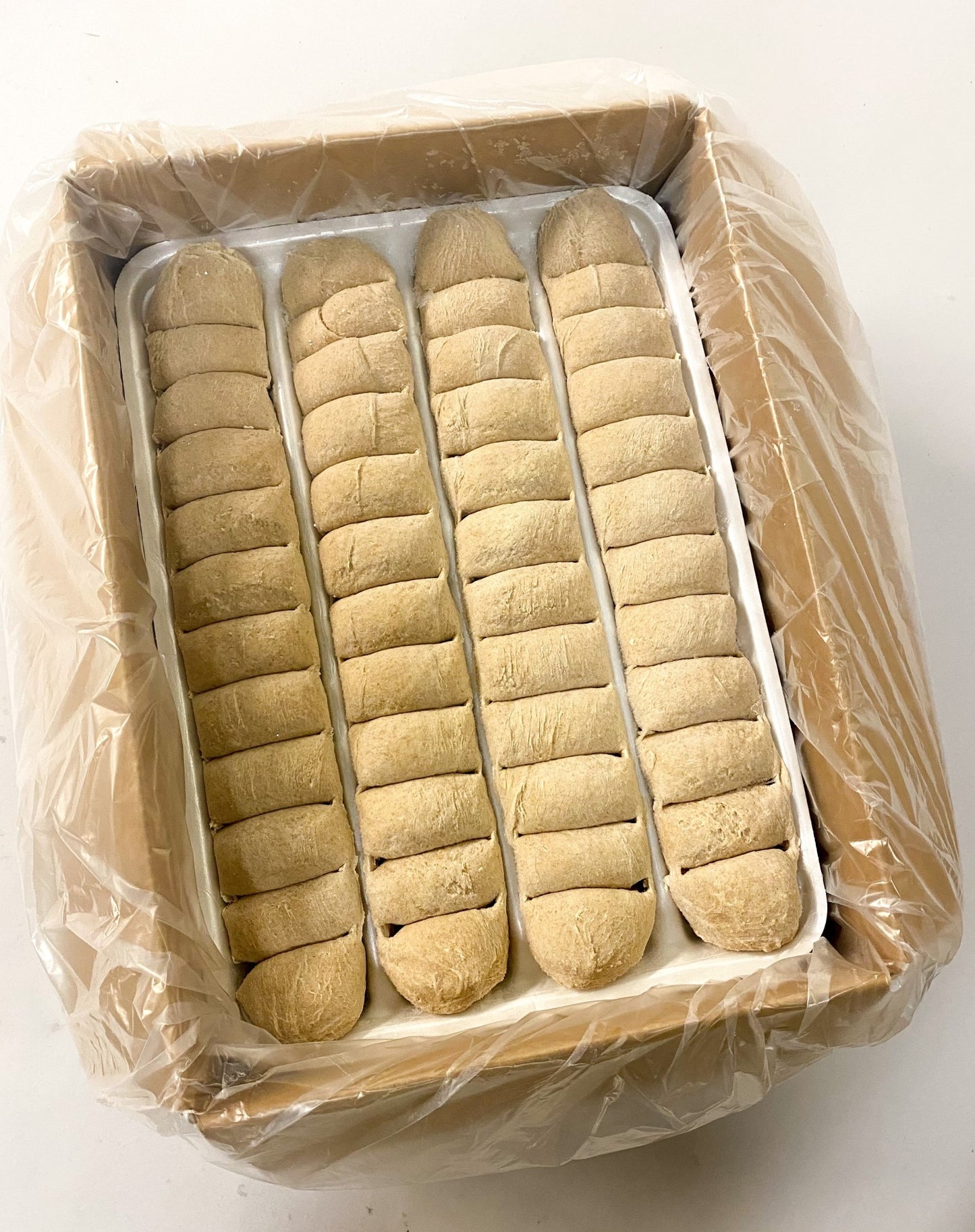 Bridgford Honey Wheat Ranch Yeast Roll Doughtray (Whole Grain) 240 Piece - 1 Per Case.