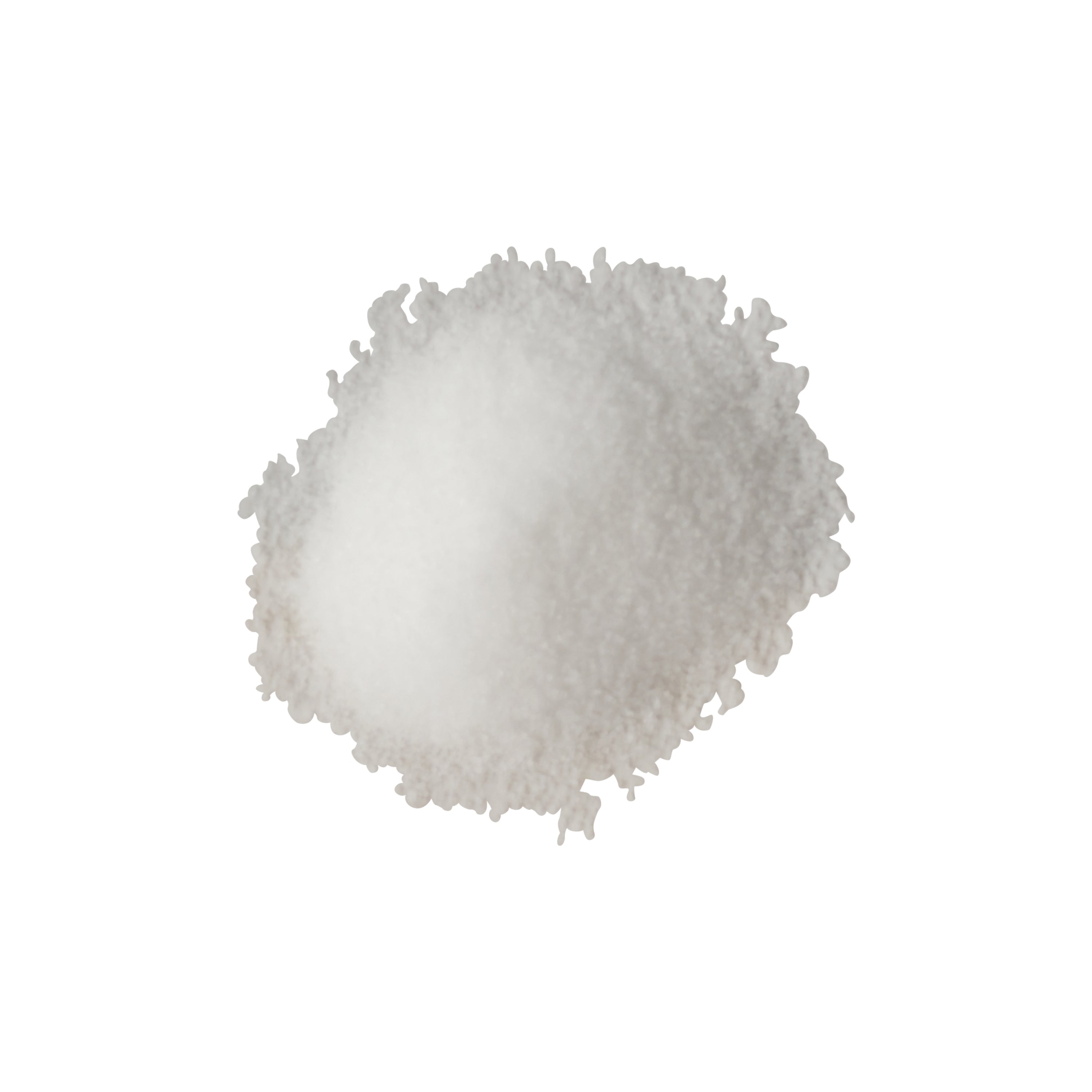 N'joy Salt Shaker Disposable 4 Ounce Size - 48 Per Case.