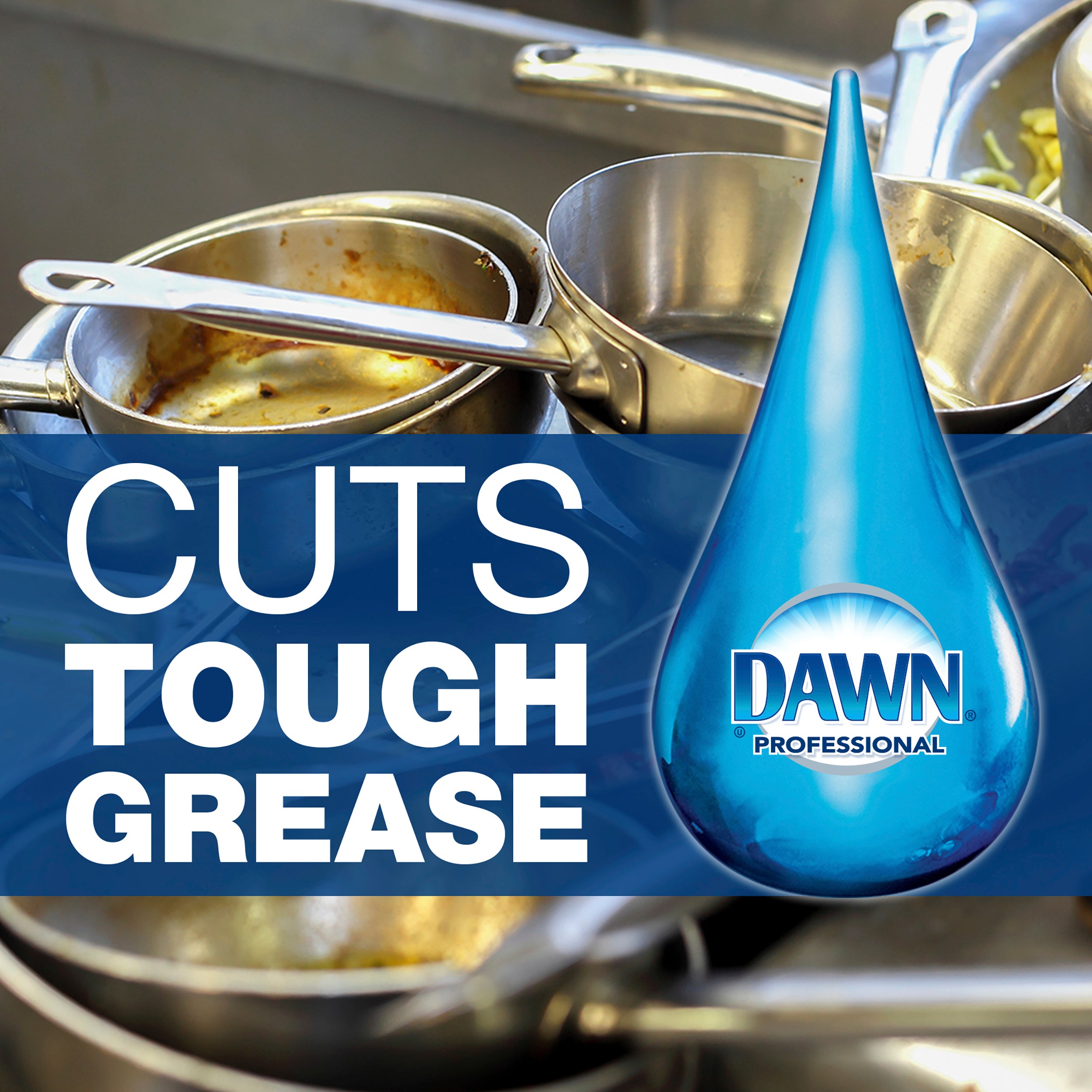 Dawn Professional Manual Pot & Pan Detergentregular Concentrate Gal 1 Gallon - 4 Per Case.