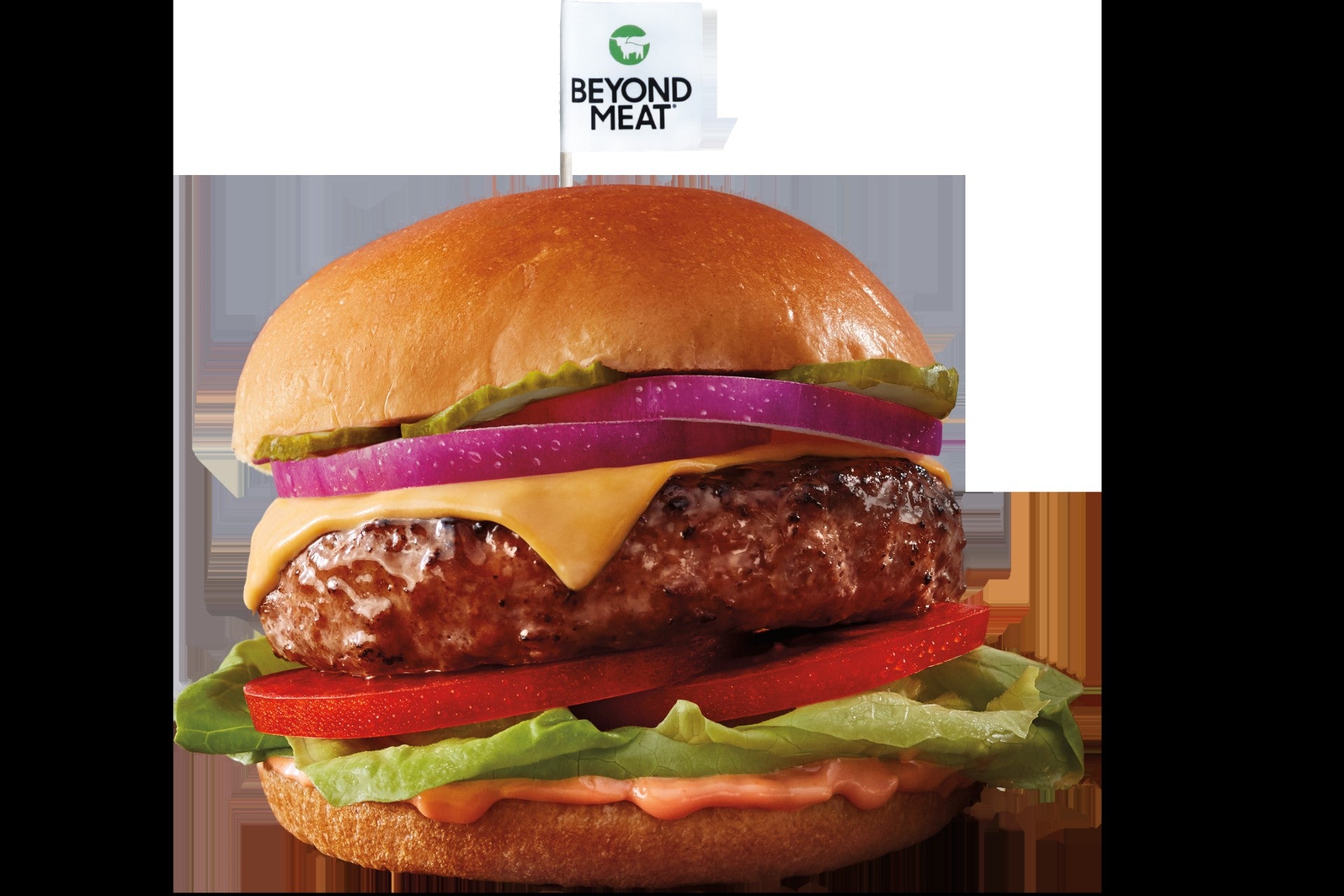 Beyond Meat Beyond Burger Plant Based Patties 12 Pound Each - 1 Per Case.