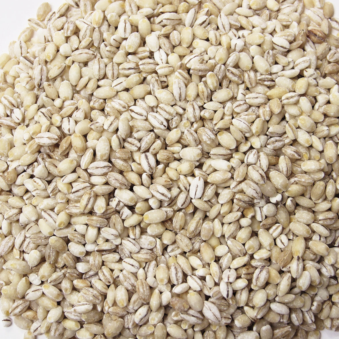 Jack Rabbit Pearled Barley 1 Pound Each - 24 Per Case.