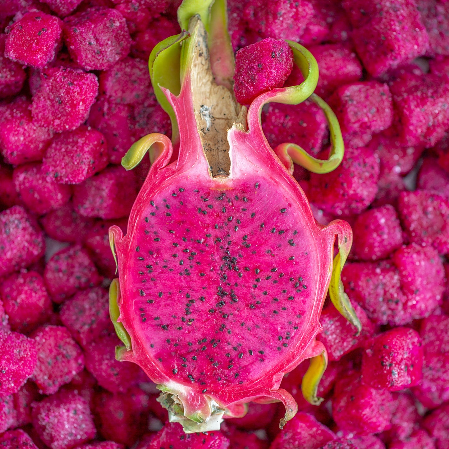 Pitaya Plus Organic Dragon Fruit IQF Bulk 20 Pound Each - 1 Per Case.