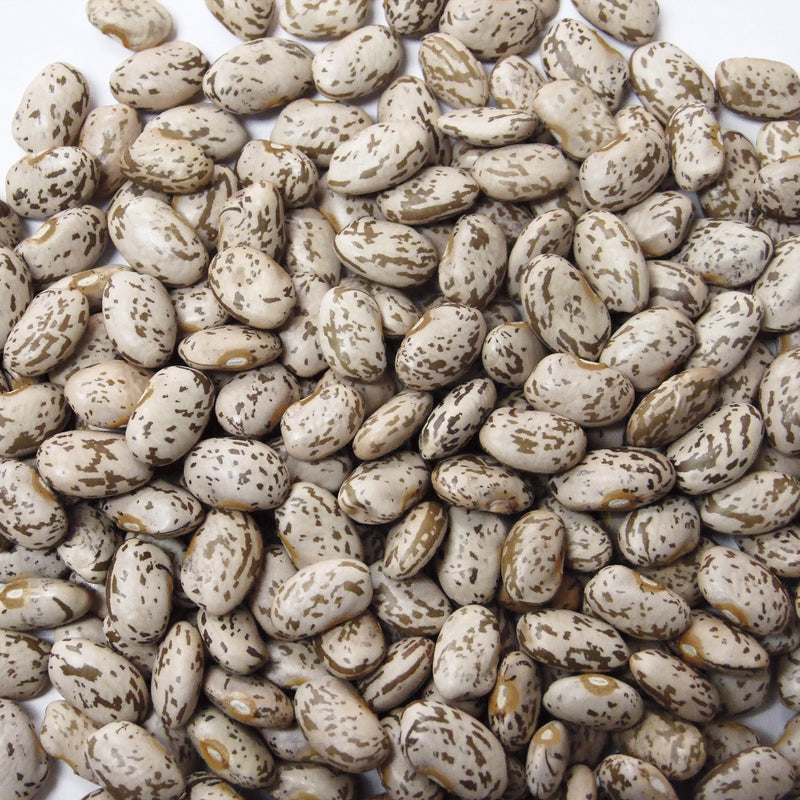 Jack Rabbit Pinto Beans 1 Pound Each - 24 Per Case.