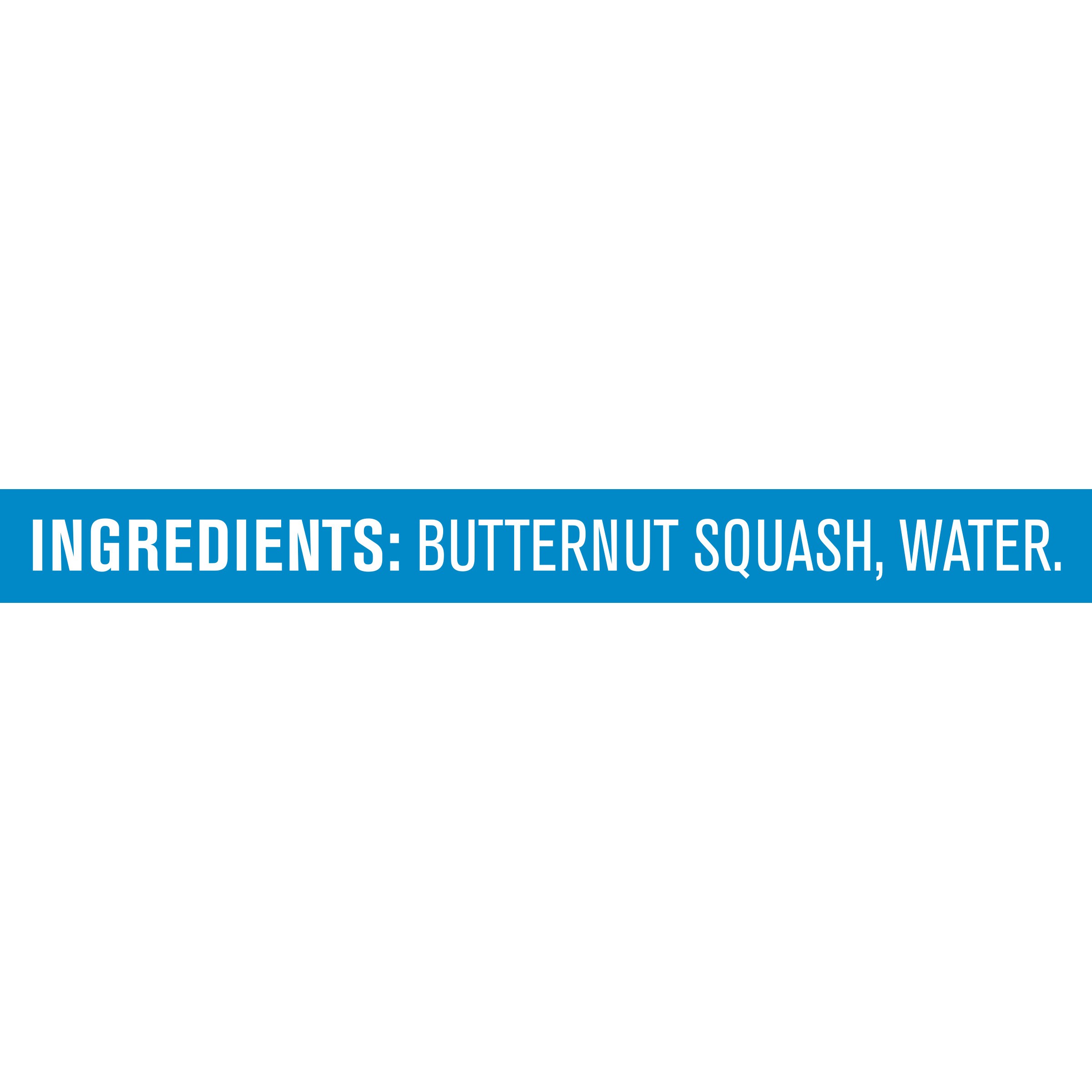 (2 Pack of 2 Oz) Gerber 1st Foods Butternut Squash Baby Food 4 Ounce Size - 8 Per Case.