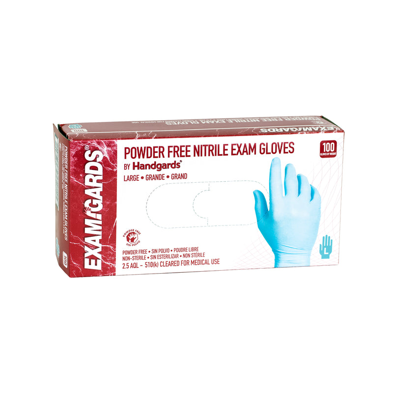 Glove Nitrile Powder Free Large 100 Each - 10 Per Case.