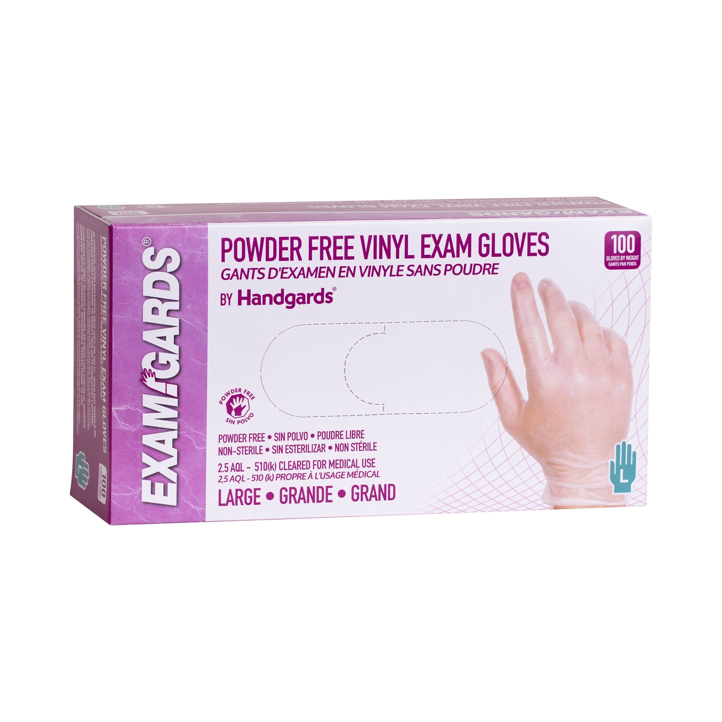 Glove Vinyl Exam Powder Free Large 100 Each - 10 Per Case.