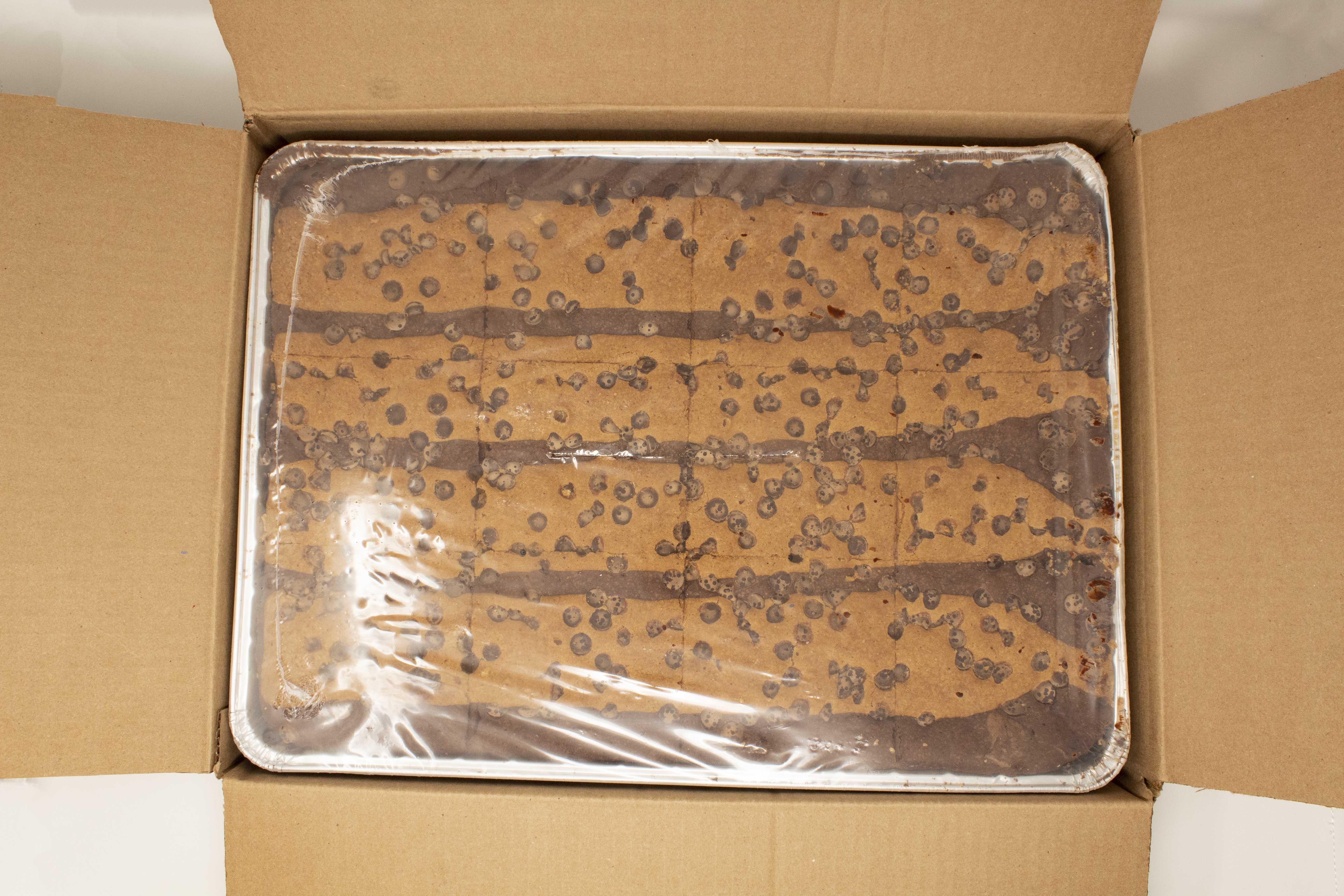 Brookie Sheet Cut Pack 10.6 Pound Each - 1 Per Case.